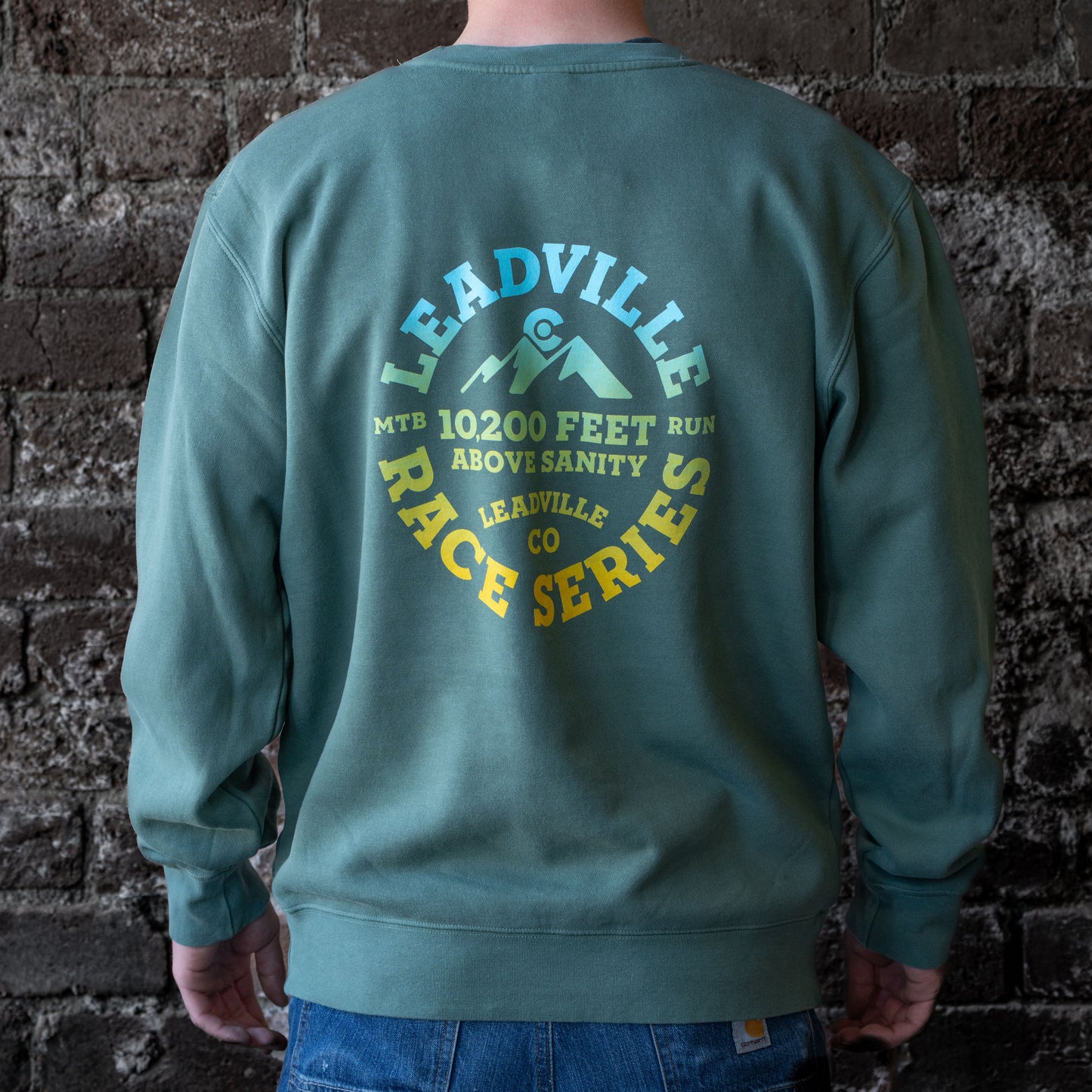 2024 10,200 Feet Above Sanity Sweatshirt