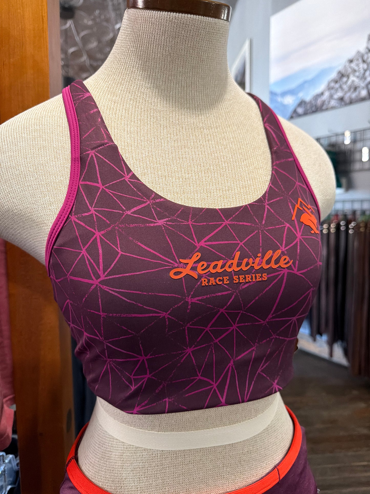2026 Womens Rabbit Hydration Trail Bra - Mauve Trails