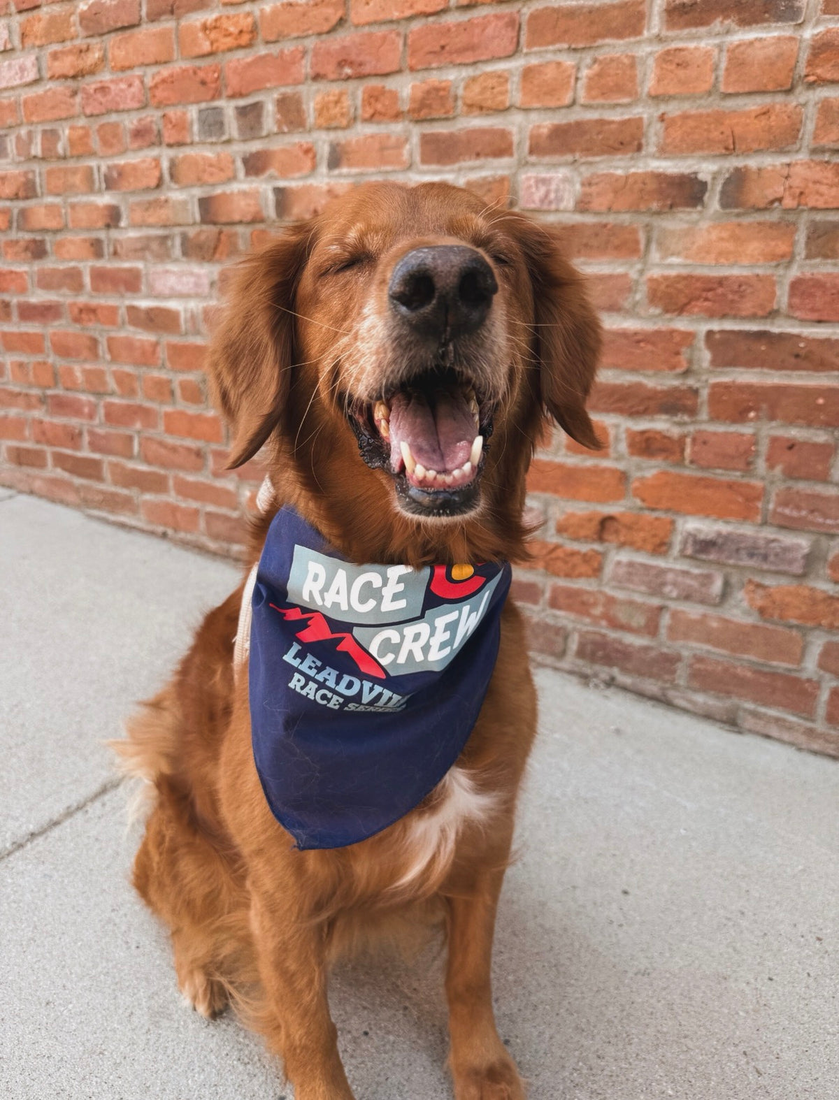LRS Race Crew Bandanas